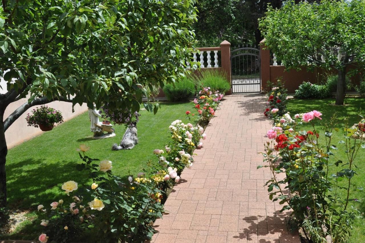 Apartman Tea Privlaka  Exterior photo